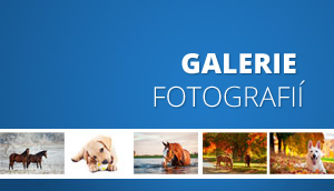 Galerie fotografií