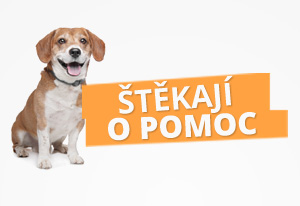 Štěkají o pomoc