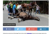 Média o nás 2014