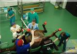 Arkadia v klinice 2009