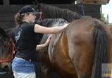 Návštěva firmy BlackHorse