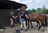 Návštěva firmy BlackHorse