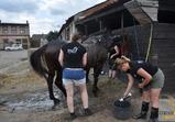 Návštěva firmy BlackHorse