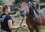 Návštěva firmy BlackHorse
