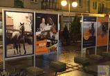 Výstava prosinec 2015 - Vratislav