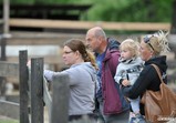 Den Otevřených Dveří 20.05.2017  - galerie