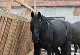 Den Otevřených Dveří 20.05.2017  - galerie