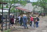Den Otevřených Dveří 20.05.2017  - galerie