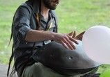 Den Otevřených Dveří 20.05.2017  - galerie