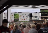 Den Otevřených Dveří 20.05.2017  - galerie