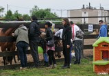 Den Otevřených Dveří 20.05.2017  - galerie