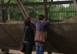 Den Otevřených Dveří 20.05.2017  - galerie