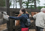 Den Otevřených Dveří 20.05.2017  - galerie