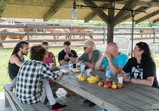 Pudelsi na farmě