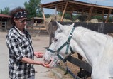 Pudelsi na farmě