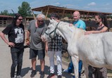 Pudelsi na farmě
