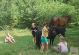 Wojnowo 2012