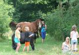 Wojnowo 2012