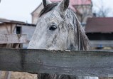 Prosinec 2017 ve Szczedrzykowicích