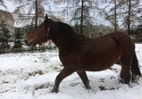 Prosinec 2017 ve Szczedrzykowicích
