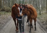 Leden 2018 - koně v adoptivních domovech 