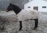 Leden 2018 - koně v adoptivních domovech 