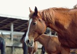 Szczedrzykowice duben 2018