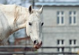 Szczedrzykowice duben 2018