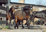 Szczedrzykowice duben 2018