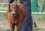 Szczedrzykowice duben 2018