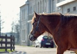 Szczedrzykowice duben 2018