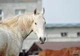 Szczedrzykowice duben 2018