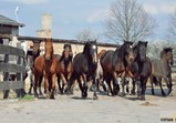 Szczedrzykowice duben 2018