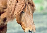 Szczedrzykowice duben 2018