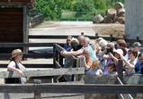 Den Otevřených Dveří ve Szczedrzykowicích 26.05.2018