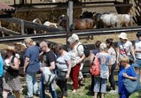 Den Otevřených Dveří ve Szczedrzykowicích 26.05.2018