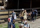 Den Otevřených Dveří ve Szczedrzykowicích 26.05.2018