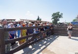 Den Otevřených Dveří ve Szczedrzykowicích 26.05.2018
