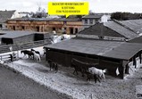 Pomozte_opravit_střechu_pro_koně