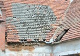 Pomozte_opravit_střechu_pro_koně