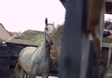 Červenec 2018 na farmě