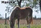 Podzim 2012