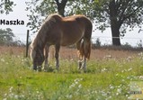 Podzim 2012