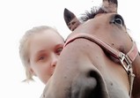 Srpen 2018 - koně v adoptivních domovech