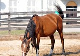 Září 2018 - Szczedrzykowice