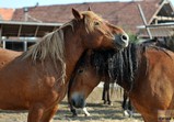 Září 2018 - Szczedrzykowice