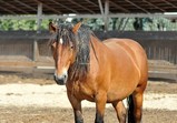 Září 2018 - Szczedrzykowice