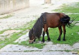 Září 2018 - Szczedrzykowice