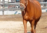 Září 2018 - Szczedrzykowice