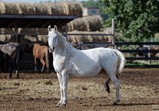 Září 2018 - Szczedrzykowice